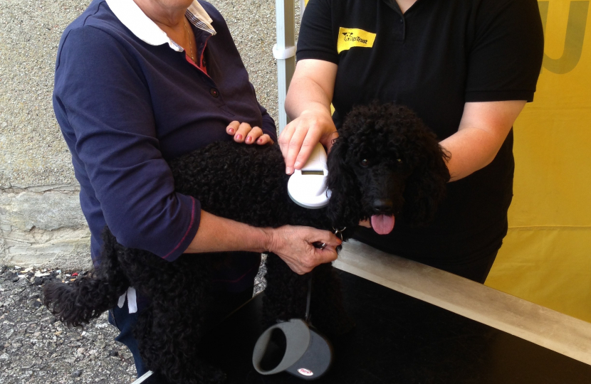 Nanette and her dog